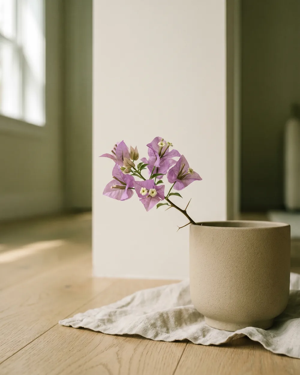 Bougainvillea Detail