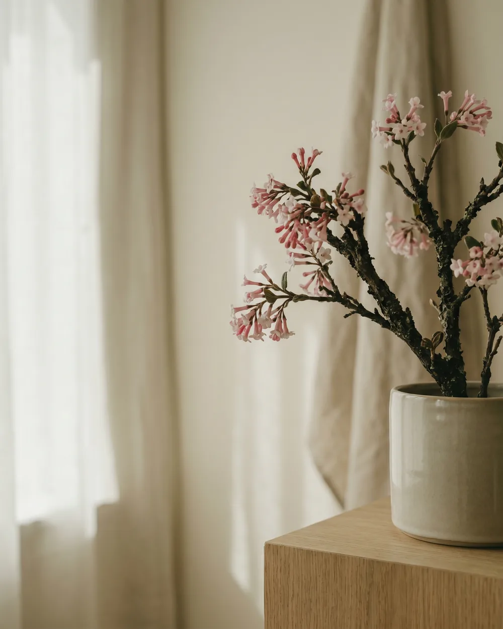 Duftschneeball Detail