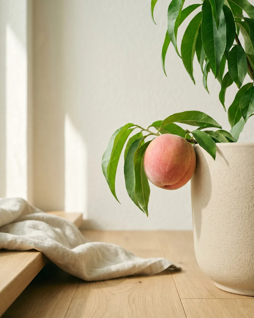 Aprikosenpfirsich Detail