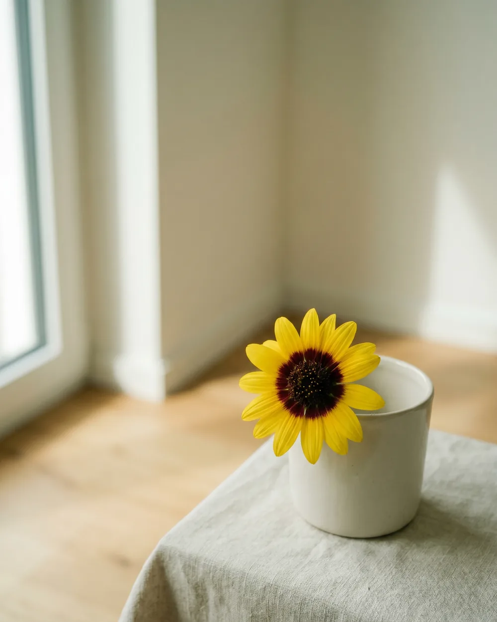 Berlandiera lyrata Detail