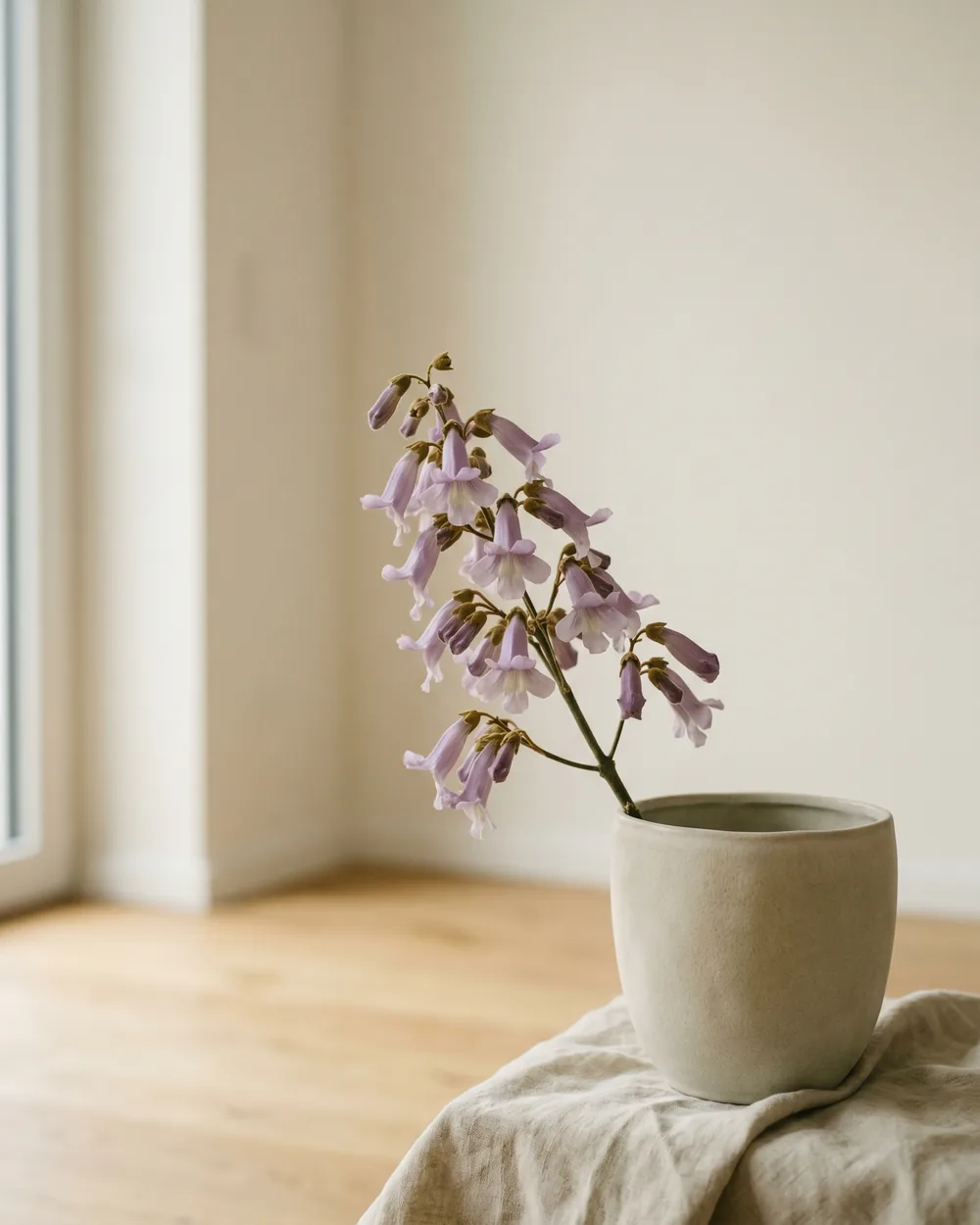 Blauglockenbaum Detail