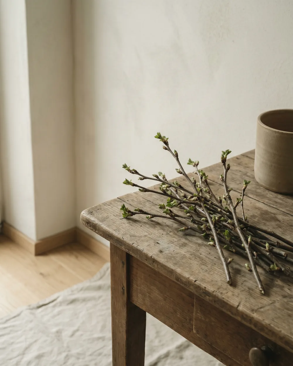 Blutjohannisbeere Detail