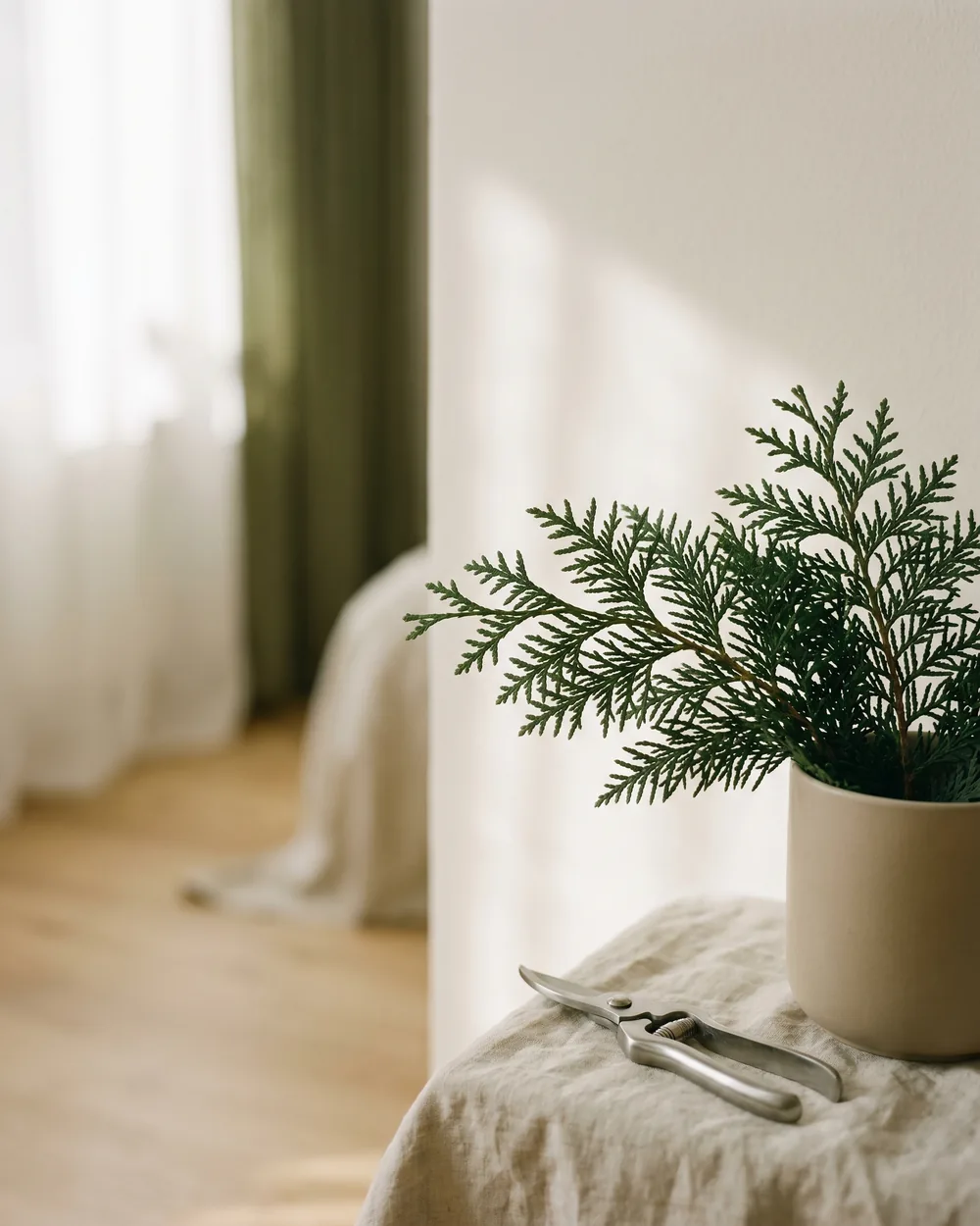 Abendländischer Lebensbaum Detail