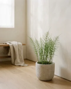 Acker-Schachtelhalm – hero