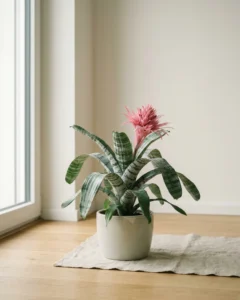 Brandschopf – hero