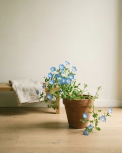 Elfenspiegel – hero