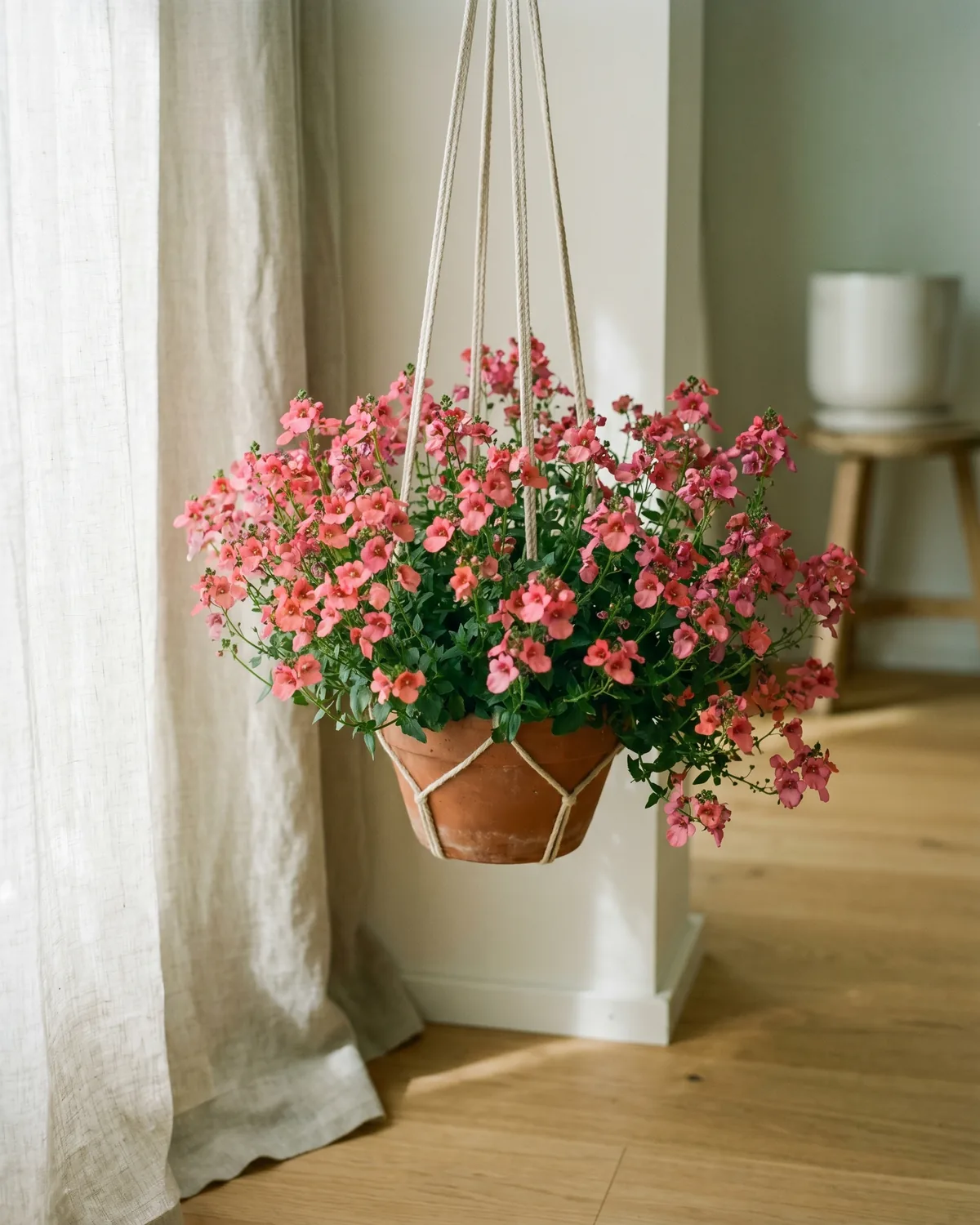 Elfensporn – Hauptbild