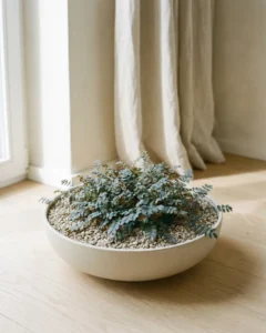 Andenpolster – hero