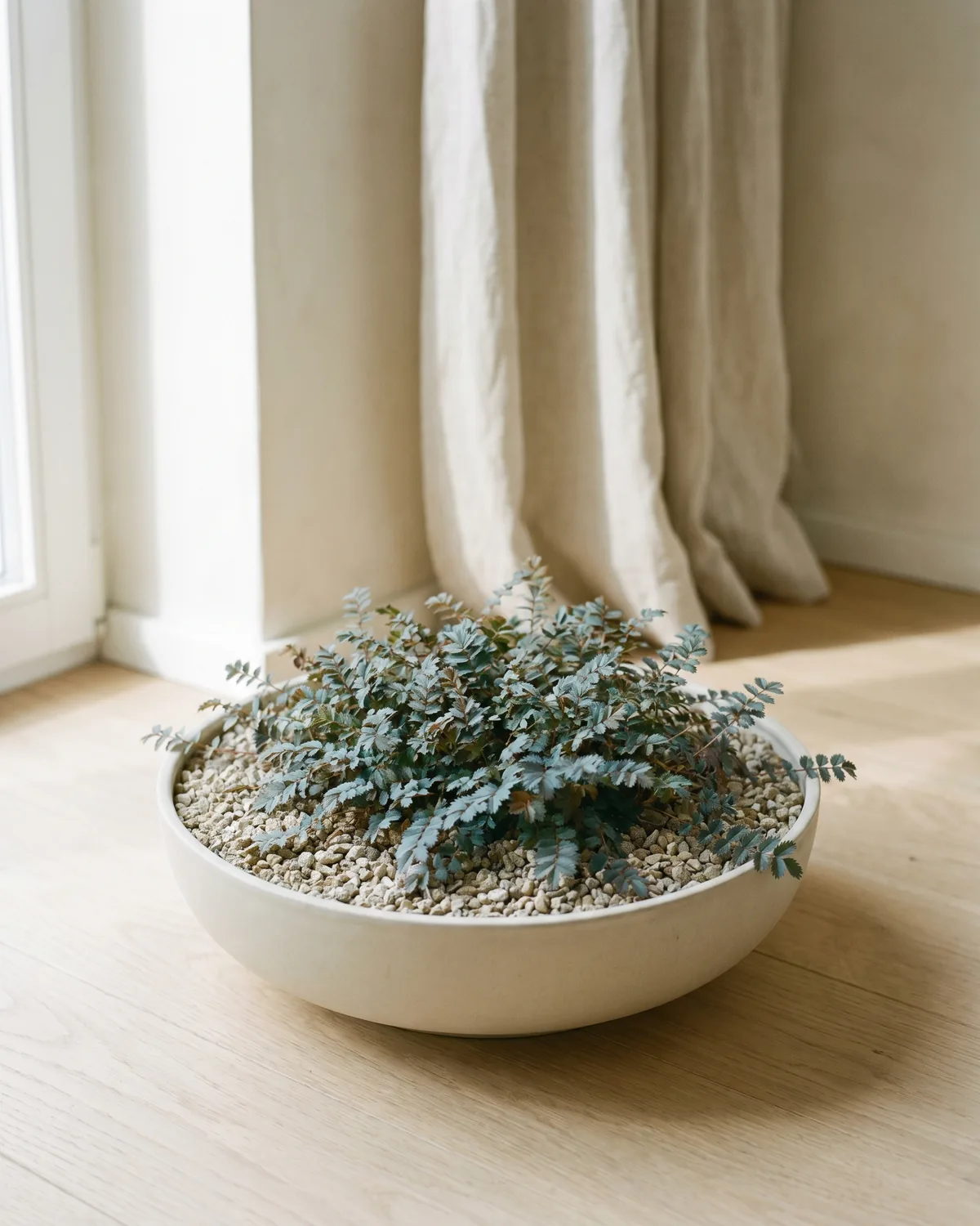 Andenpolster – Hauptbild