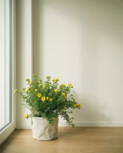 Fingerstrauch – hero