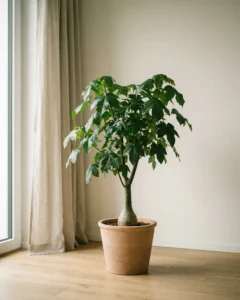 Flammenbaum – hero