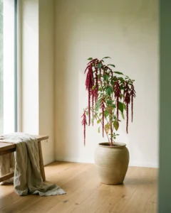 Fuchsschwanz – hero