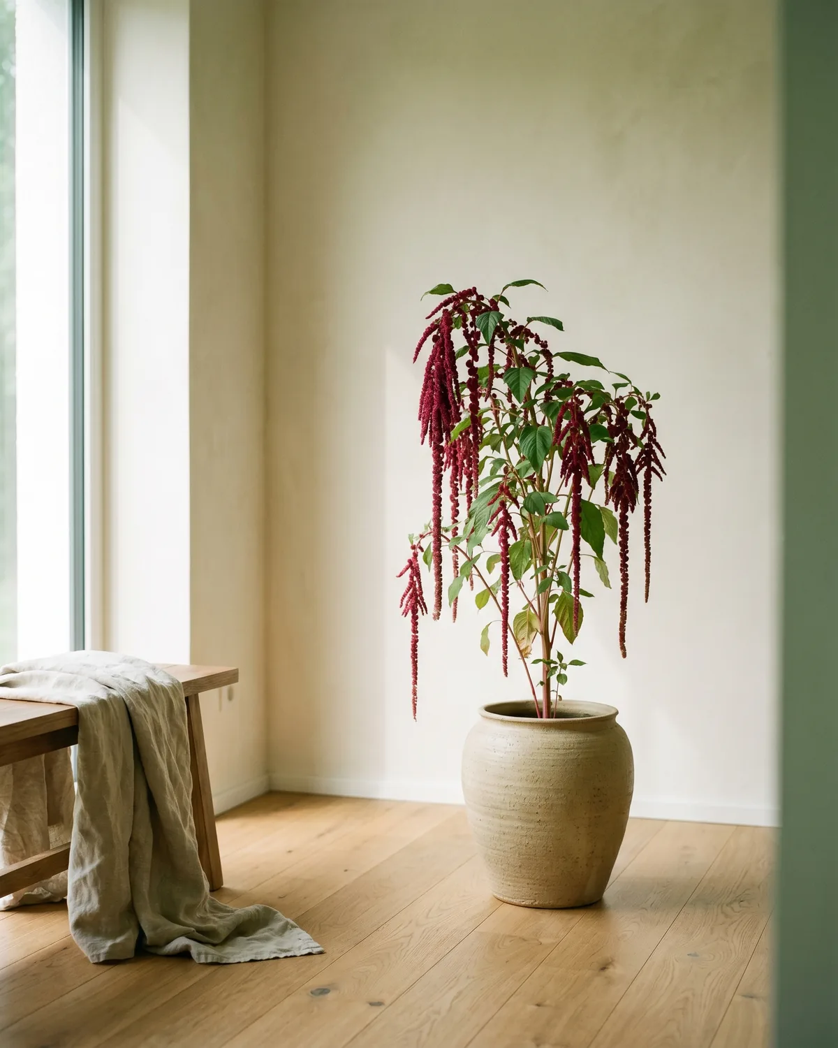 Fuchsschwanz – Hauptbild