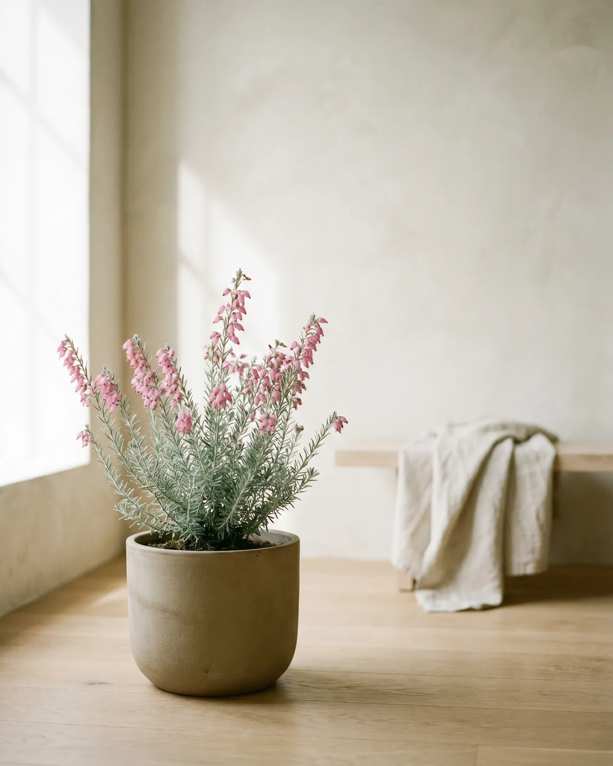 Glockenheide – Hauptbild