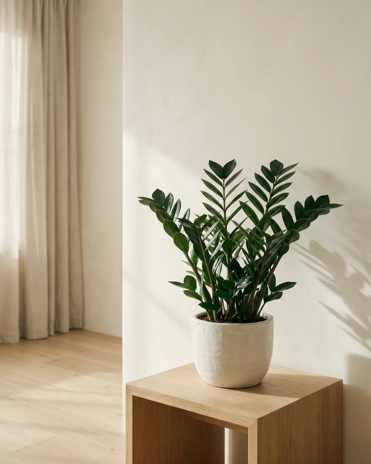 Glücksfeder – Hauptbild