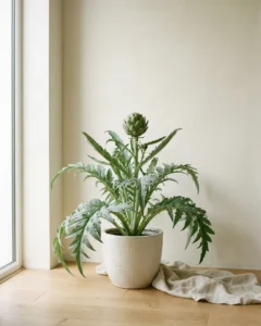 Artischocke – hero