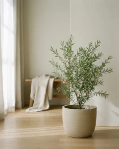 Australisches Zitronenblatt – hero