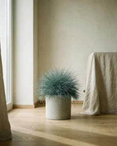 Blaugräser – hero