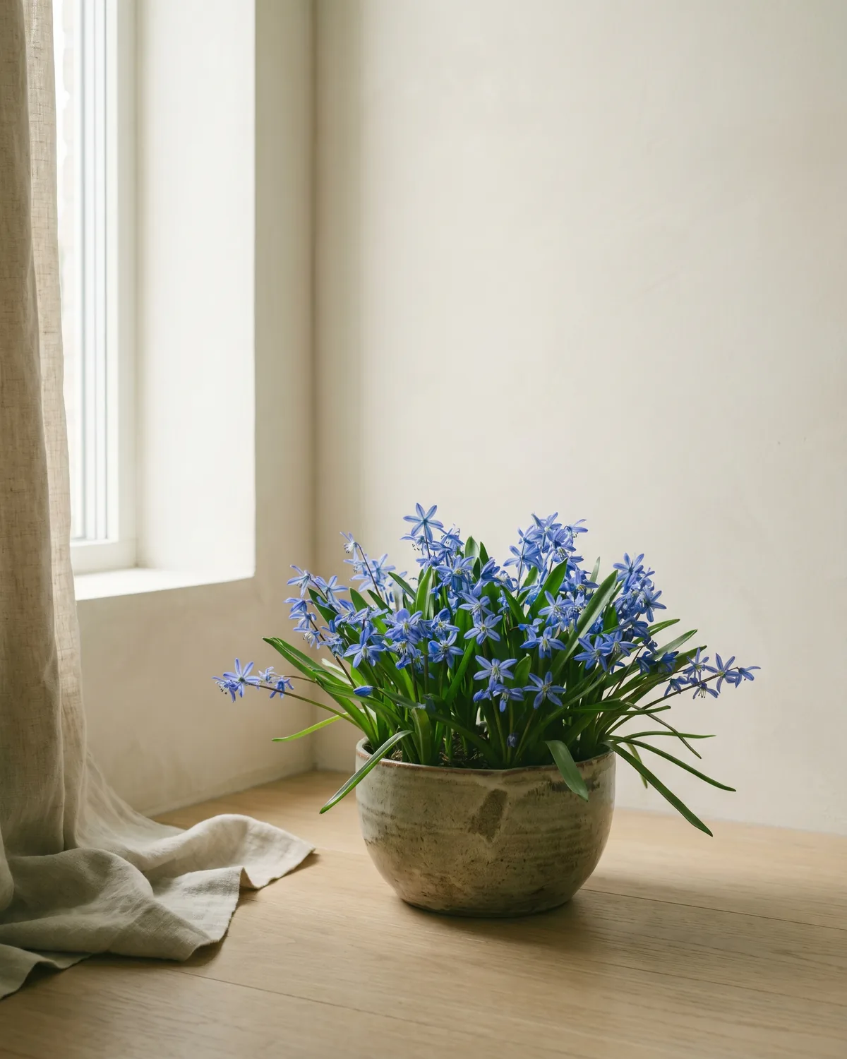 Blaustern – Hauptbild