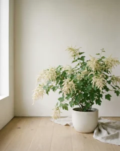 Blumenesche – hero