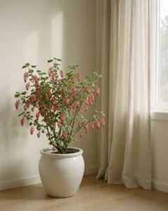 Blutjohannisbeere – hero