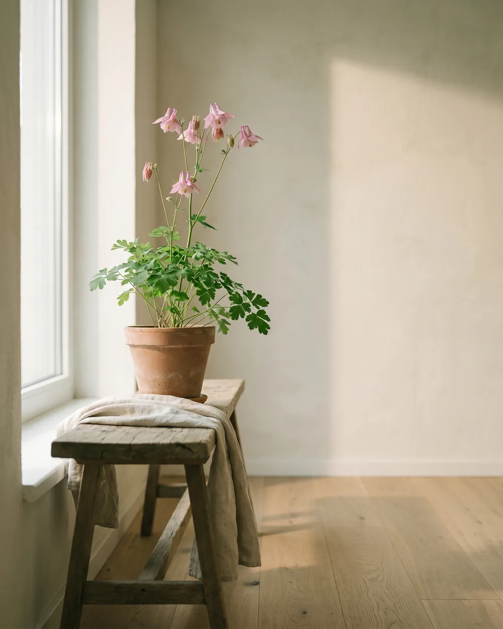 Akelei styliert im Wohnraum