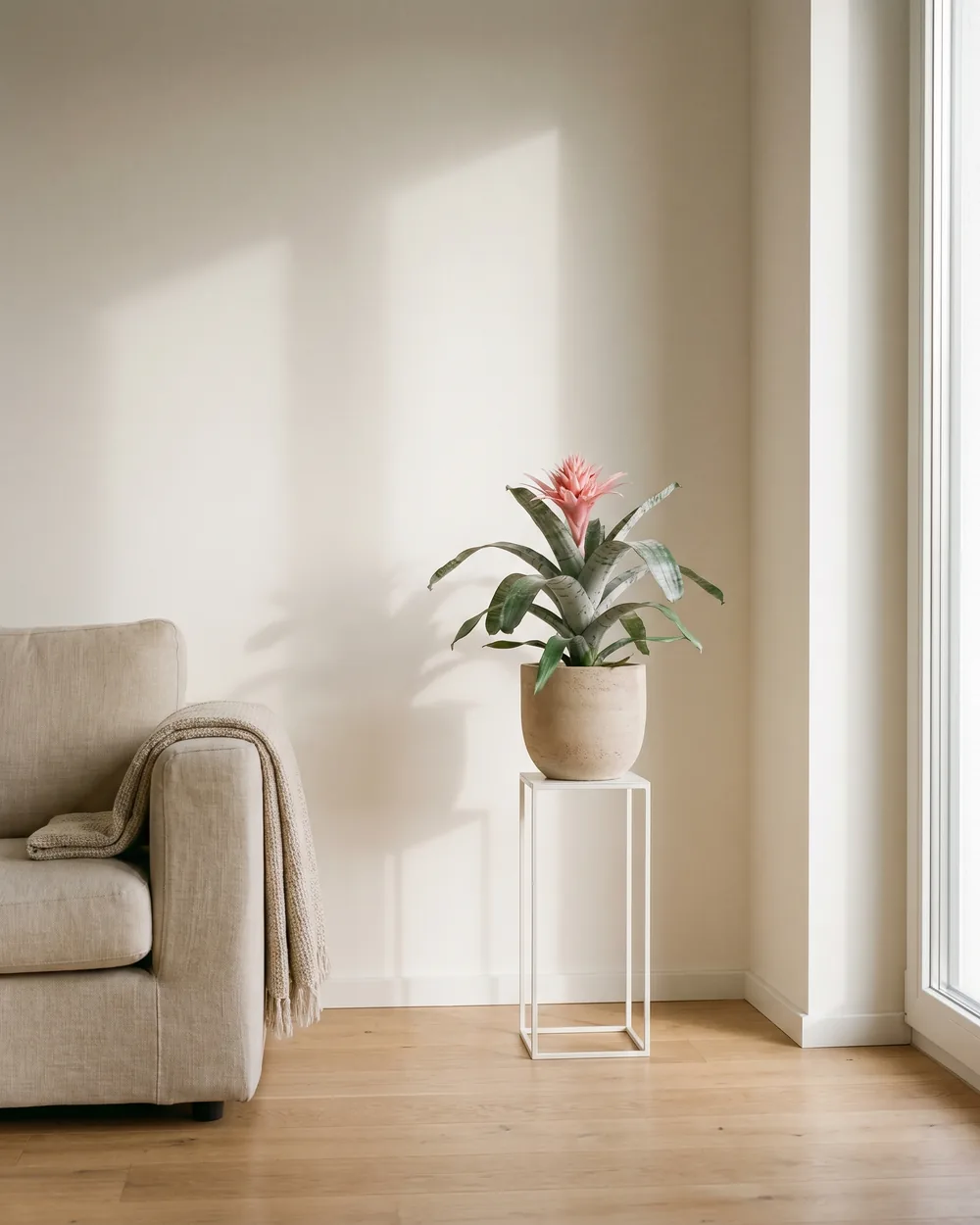 Bromelie styliert im Wohnraum