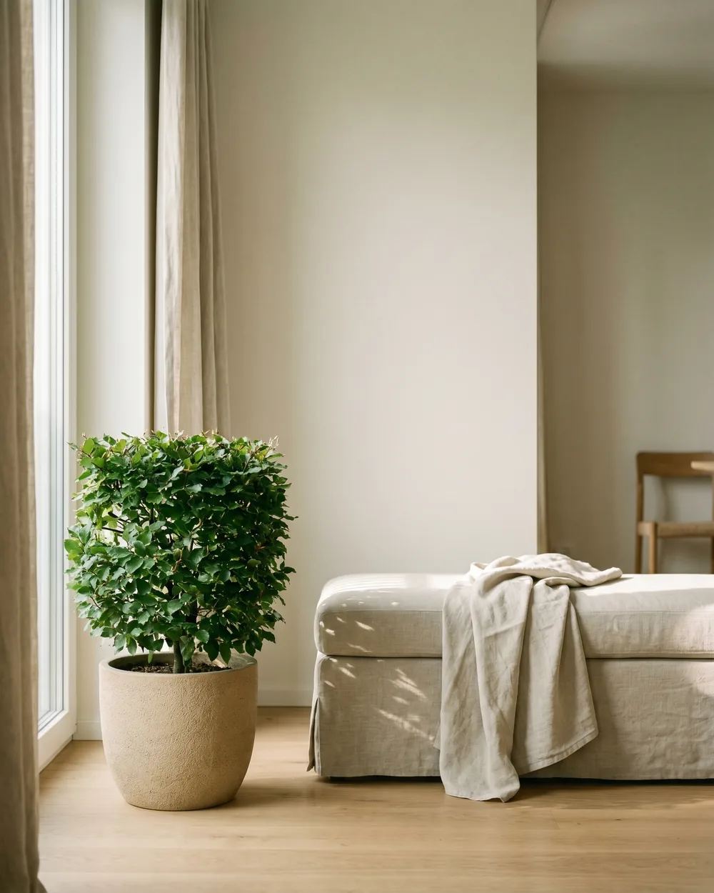 Buche styliert im Wohnraum