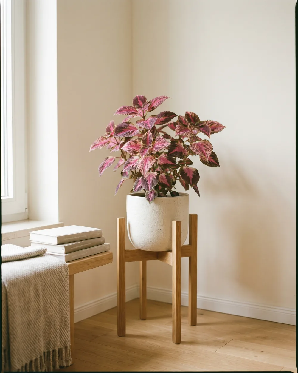 Buntnessel styliert im Wohnraum