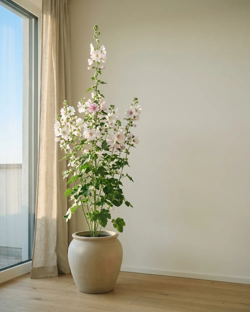 Buschmalve styliert im Wohnraum