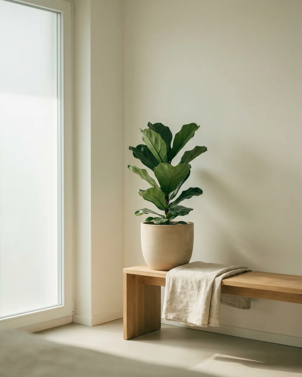 Charentais-Melone styliert im Wohnraum