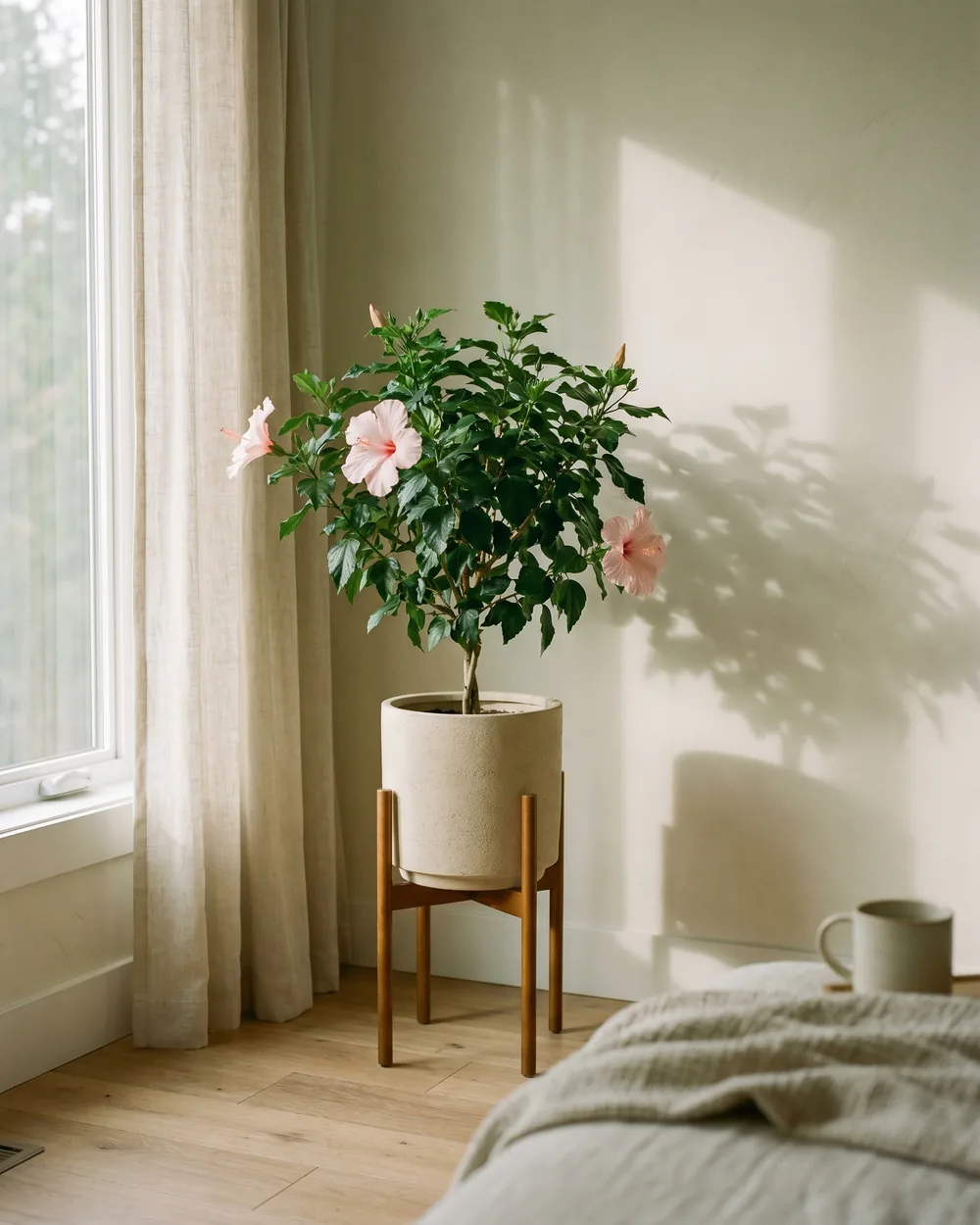 Chinesischer Roseneibisch styliert im Wohnraum