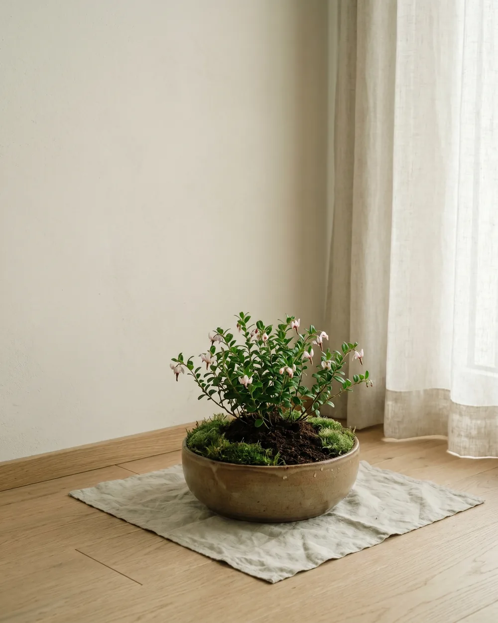 Cranberry styliert im Wohnraum