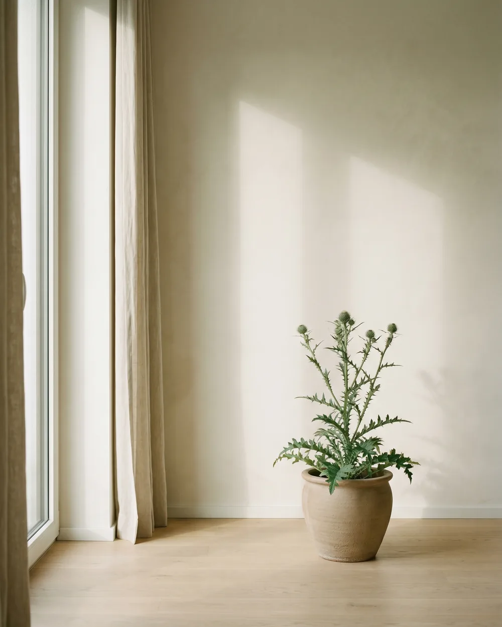 Distel styliert im Wohnraum