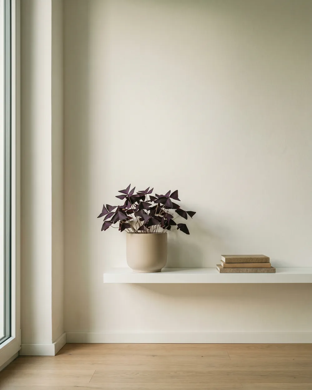 Dreieckiger Sauerklee styliert im Wohnraum