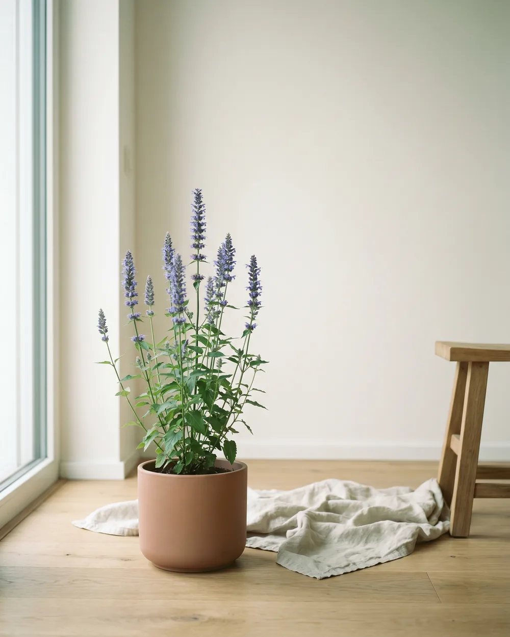 Duftnessel styliert im Wohnraum