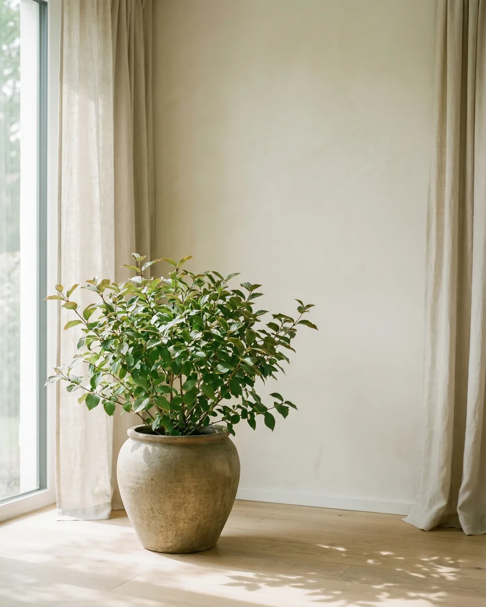 Duftschneeball styliert im Wohnraum