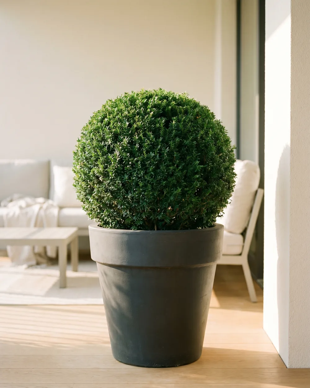 Eibe styliert im Wohnraum