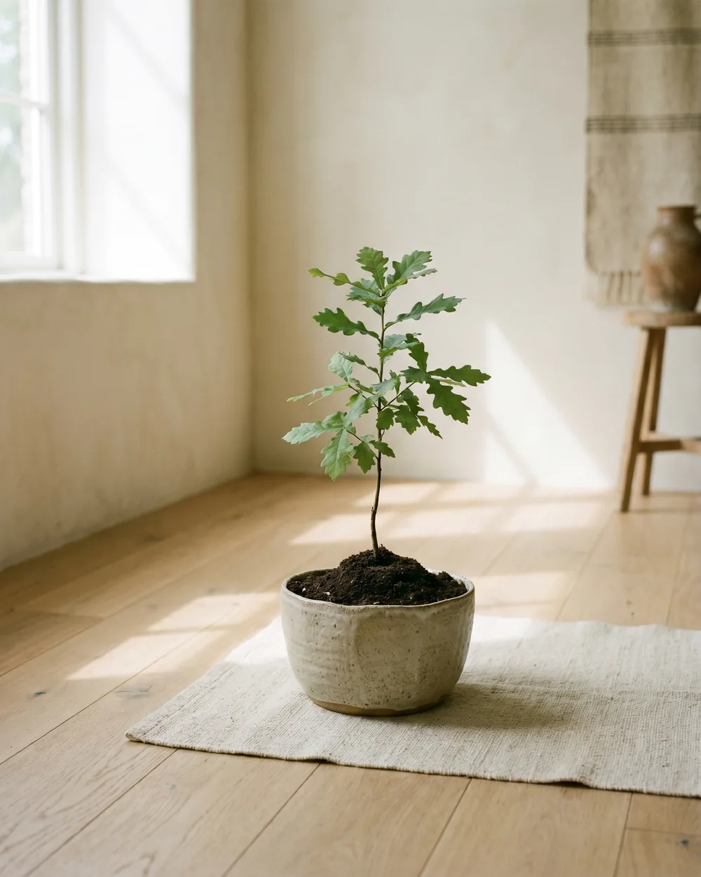 Eiche styliert im Wohnraum