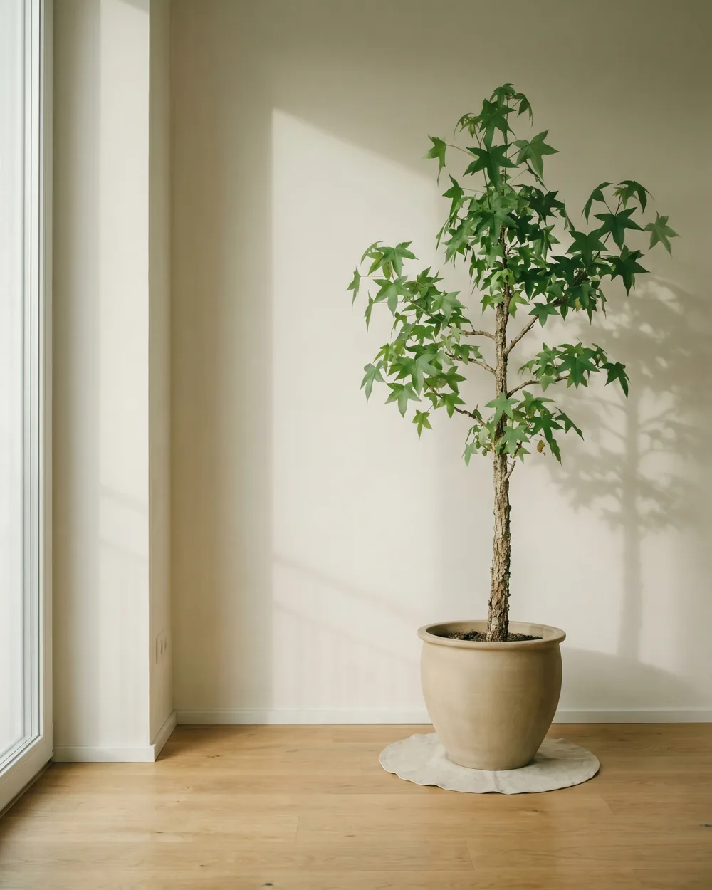 Amberbaum styliert im Wohnraum