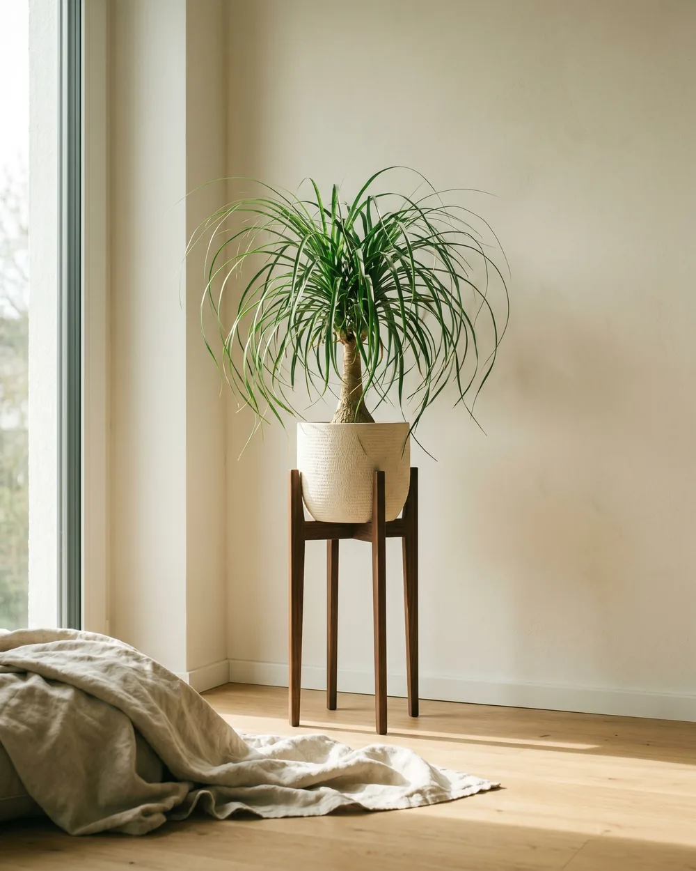 Elefantenfuß styliert im Wohnraum