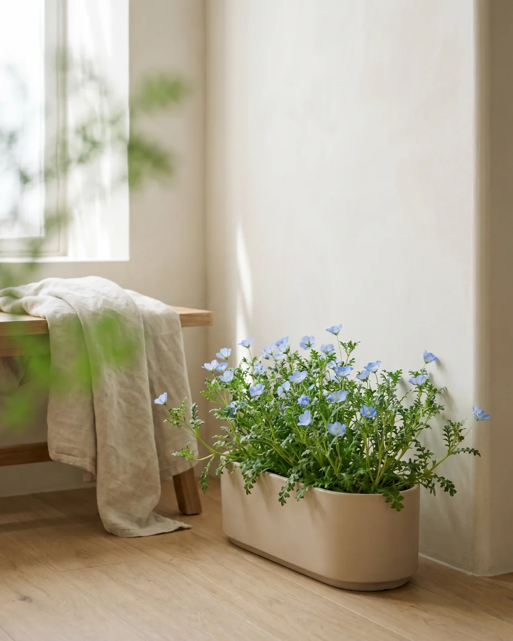 Elfenspiegel styliert im Wohnraum