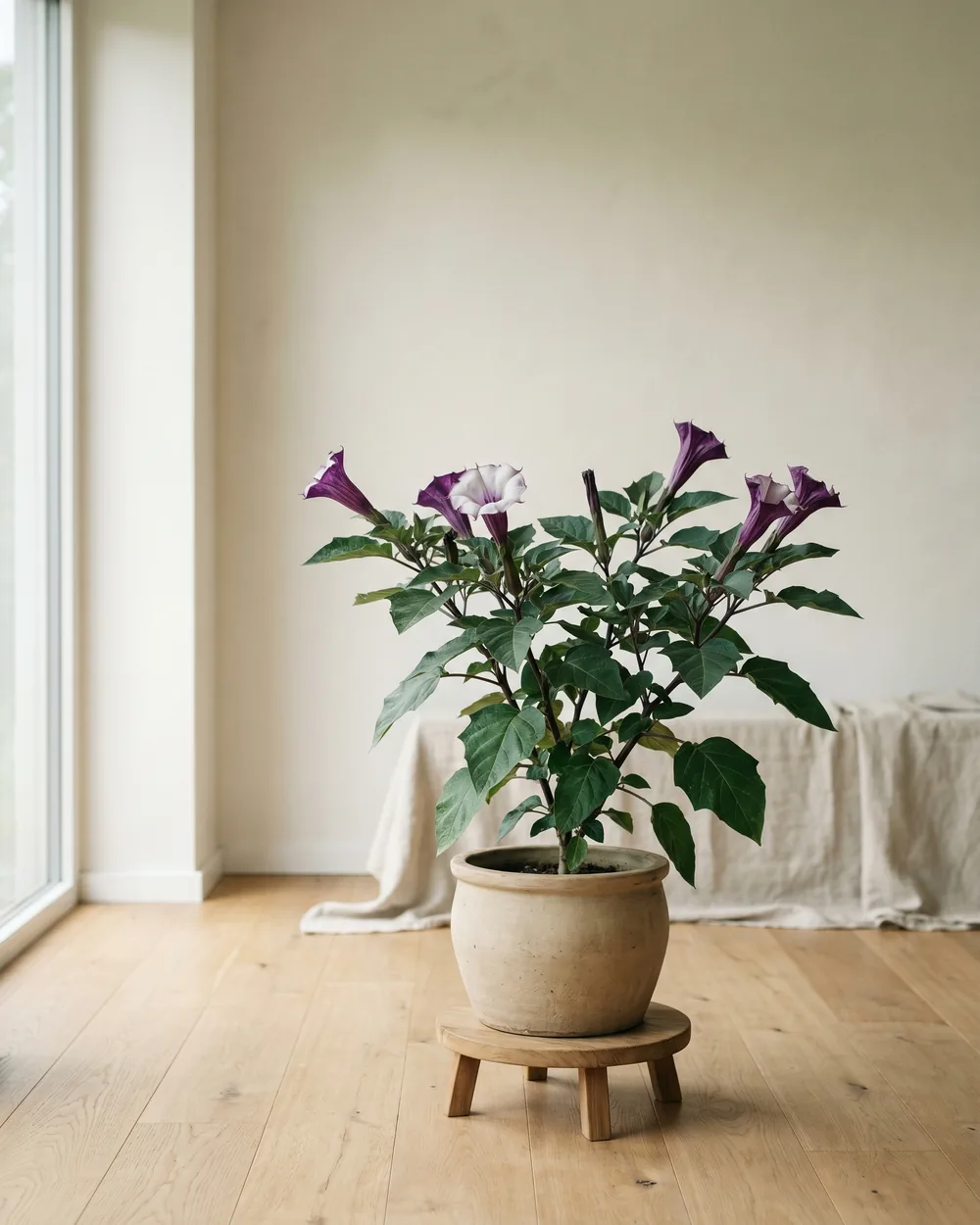 Engelsgesicht styliert im Wohnraum