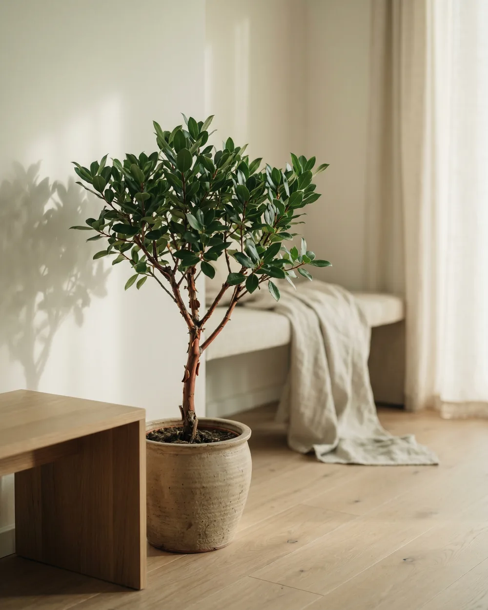 Erdbeerbaum styliert im Wohnraum