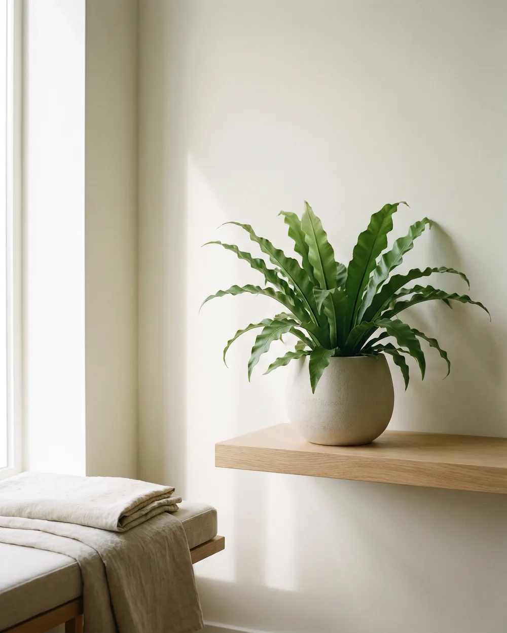 Farn styliert im Wohnraum