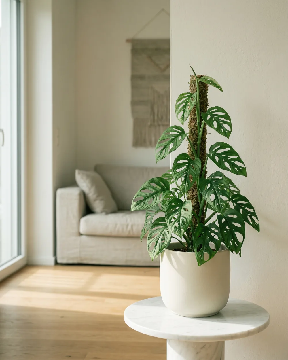 Fensterblatt styliert im Wohnraum