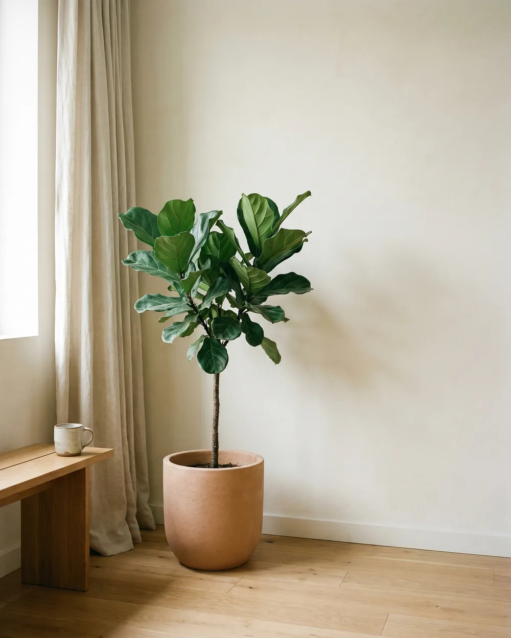 Feuerbohne styliert im Wohnraum