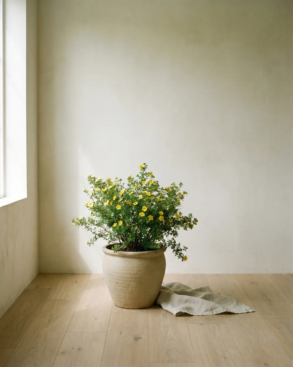 Fingerstrauch styliert im Wohnraum