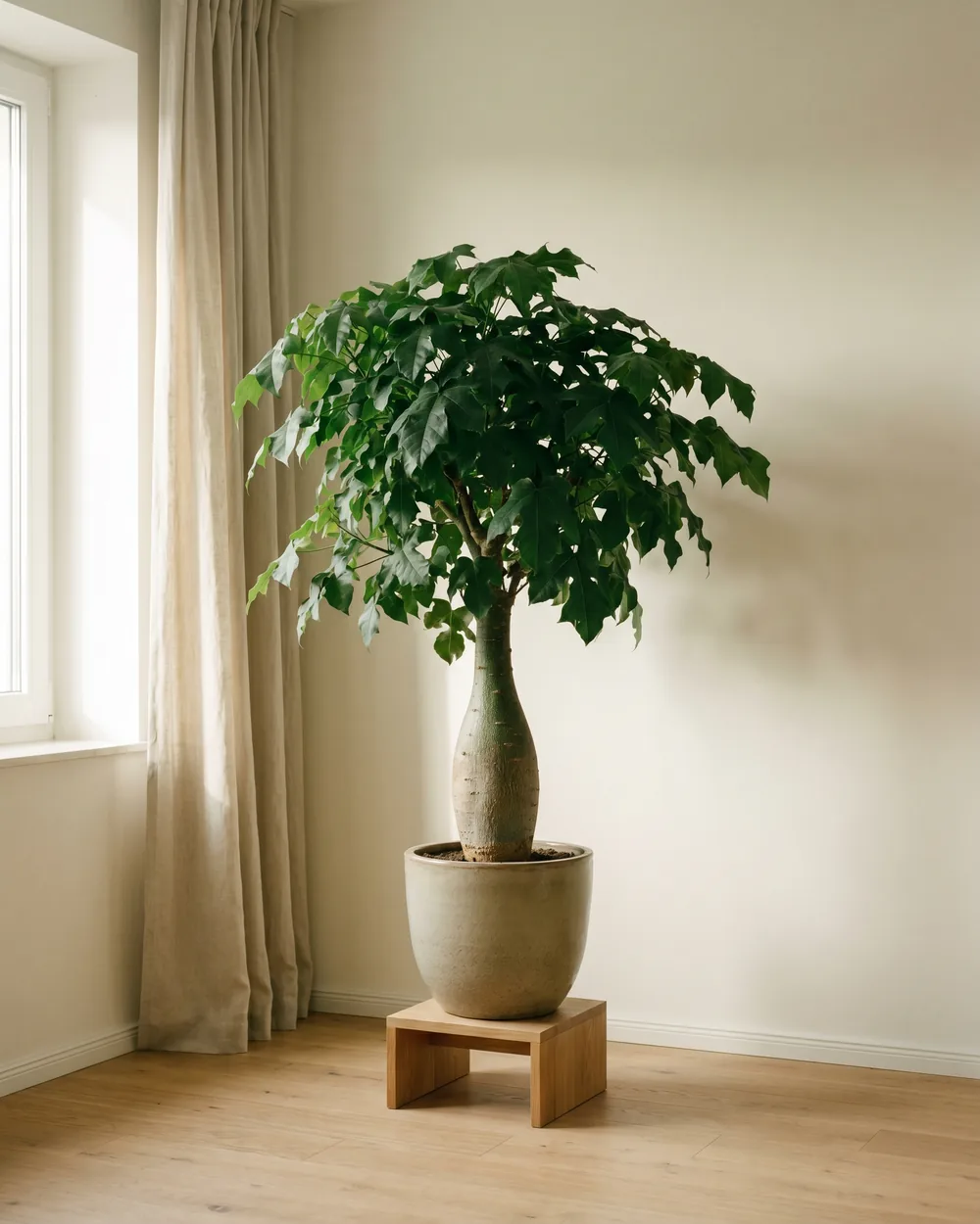 Flammenbaum styliert im Wohnraum