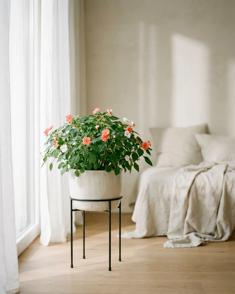 Fleißiges Lieschen styliert im Wohnraum